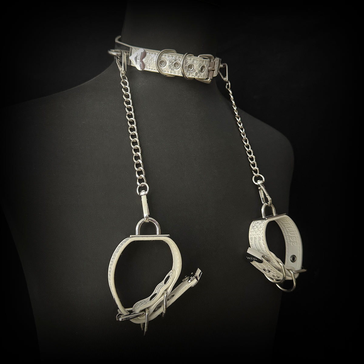 Daluse Snake Pattern Leather Adjustable Silver Chain Choker Collar Necklace and Cuff Bracelet Combination Set