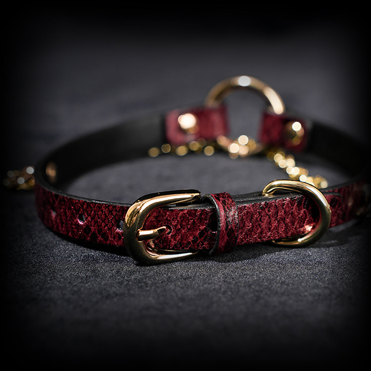 Daluse Gold Ring Chain Collar Red Snake Pattern Leather Choker Necklace