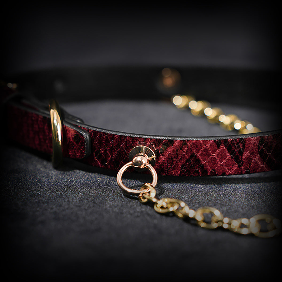 Daluse Gold Ring Chain Collar Red Snake Pattern Leather Choker Necklace