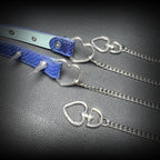 Daluse Blue Snakeskin Riveted Heart Shaped Choker Titanium Double Chain Adjustment Collar Necklace