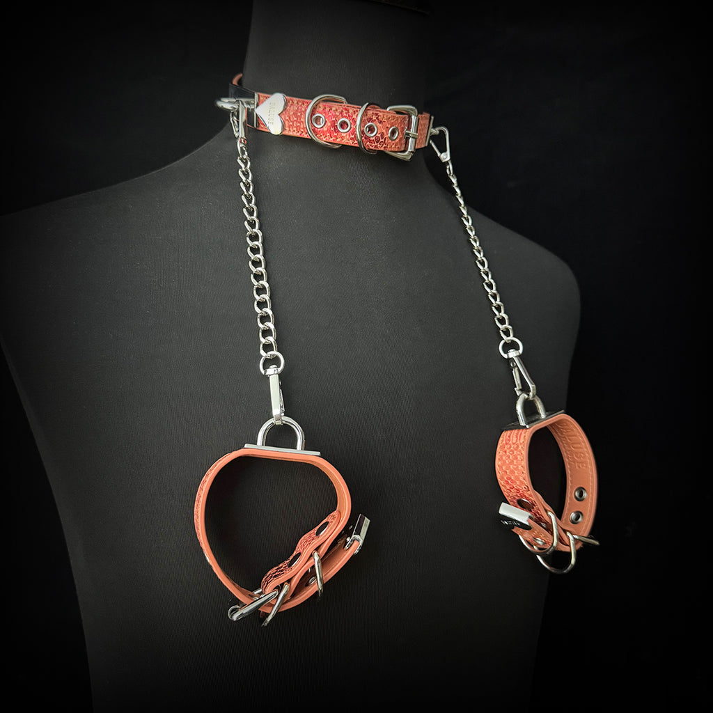 Daluse Snake Pattern Leather Adjustable Silver Chain Choker Collar Necklace and Cuff Bracelet Combination Set