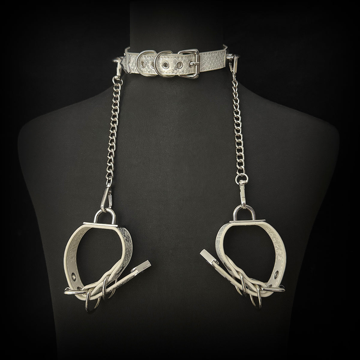 Daluse Snake Pattern Leather Adjustable Silver Chain Choker Collar Necklace and Cuff Bracelet Combination Set